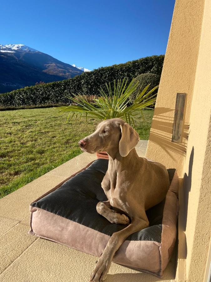Design&Mountain view bedroom Aosta Buitenkant foto